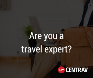 what is travel agency in simple words