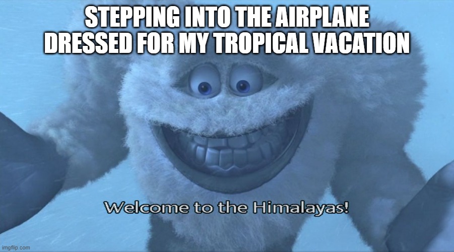 Travel Agent Memes