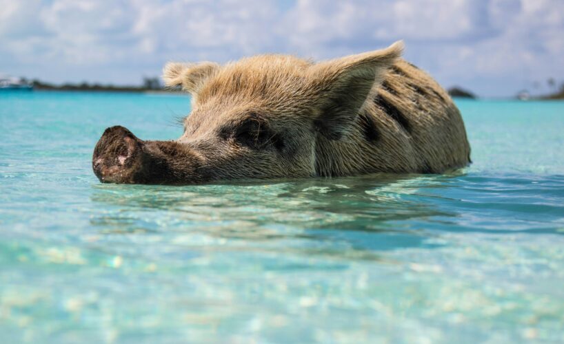 Travel Agents Share Their Craziest Client Stories